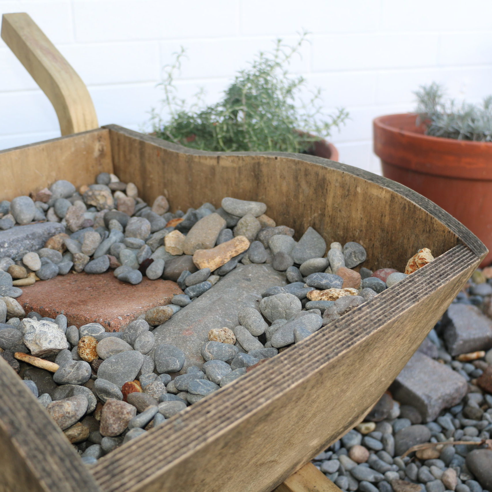 Rock garden and pot plants
